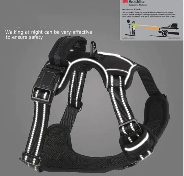 Comfort Control Dog Harness