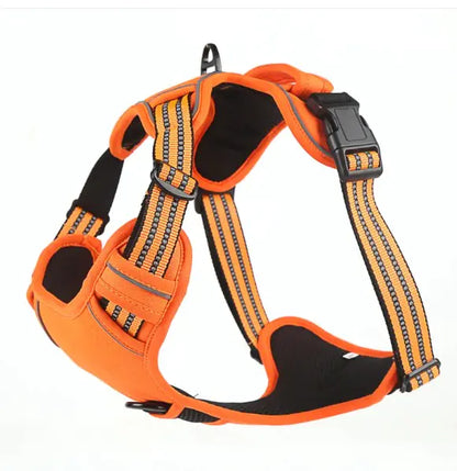 Comfort Control Dog Harness