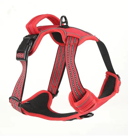 Comfort Control Dog Harness
