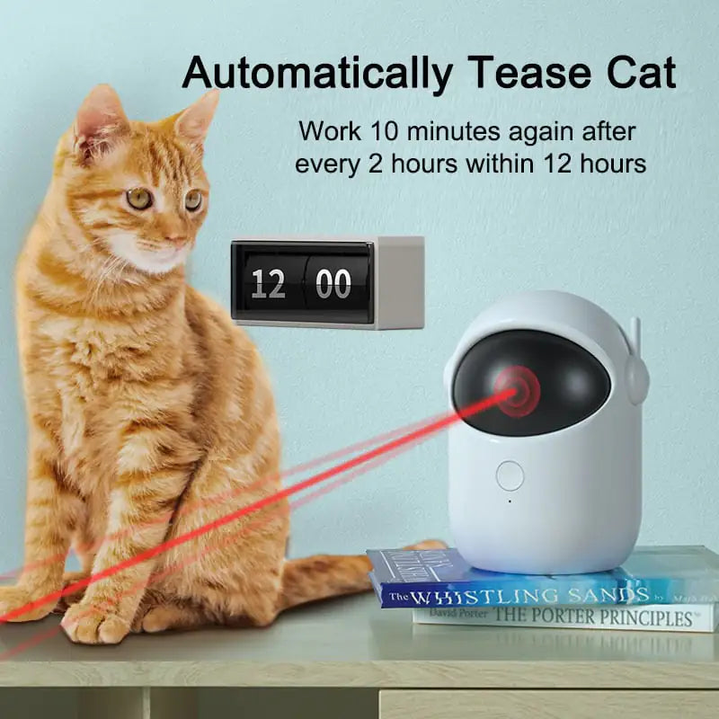 Timed Auto Laser Cat Toy 🔴🐾