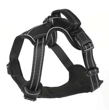 Comfort Control Dog Harness