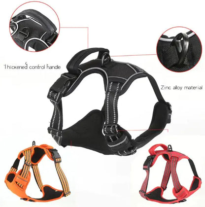 Comfort Control Dog Harness