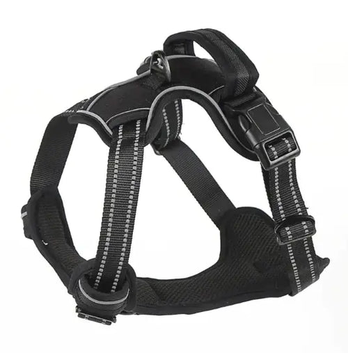 Comfort Control Dog Harness