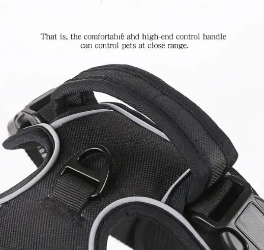 Comfort Control Dog Harness