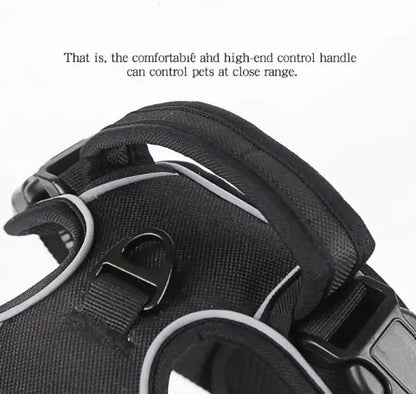 Comfort Control Dog Harness