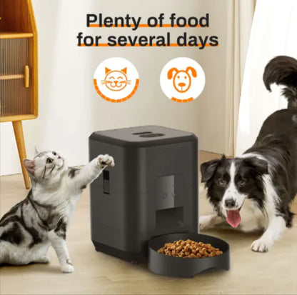 The Peace of Mind Smart Pet Feeder