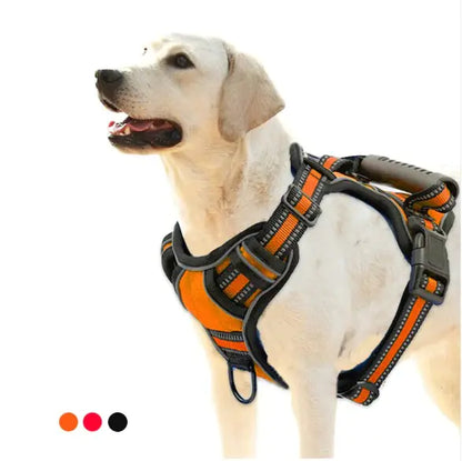 Comfort Control Dog Harness